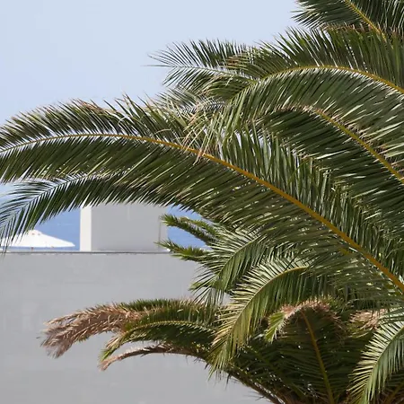 Adriana House 50 Metros Al Mar Apartman *