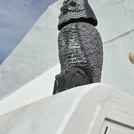 Апартаменты Adriana House 50 Metros Al Mar Пуэрто дель Кармен