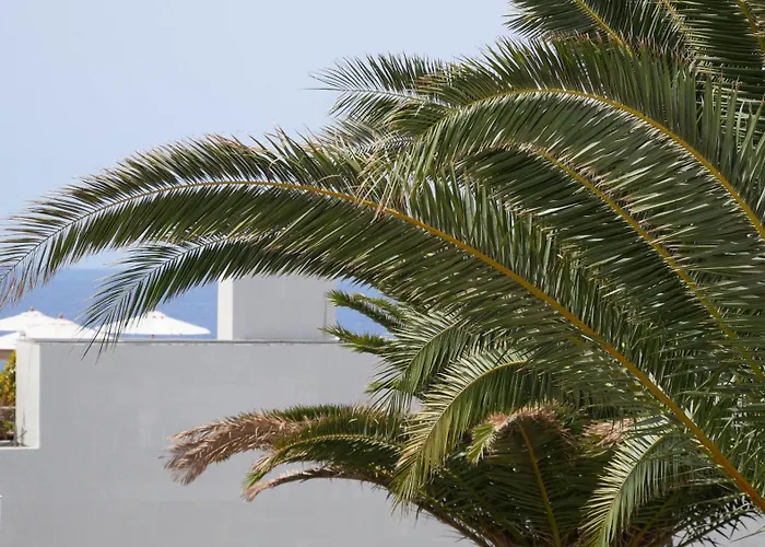 Adriana House 50 Metros Al Mar Apartamento *